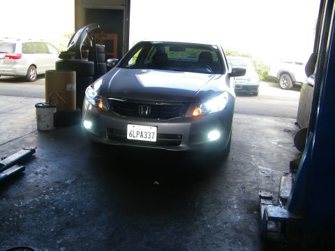 2010 Honda Accord photo
