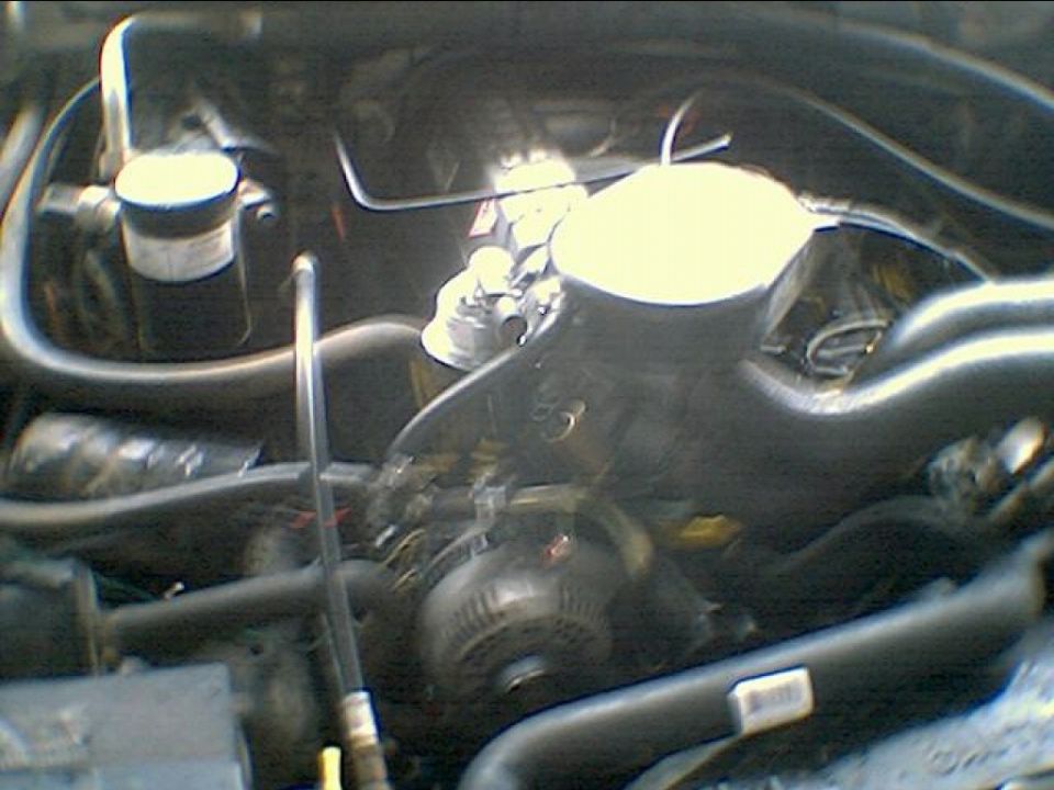 Engine bay of a truck showing valve cover, hoses, alternator and fluid reservoirs from above