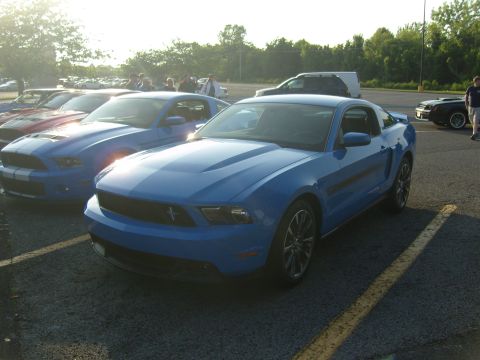 2007 Ford Mustang - Several Ford Mustangs are parked in a lot, with one blue model in the foreground.