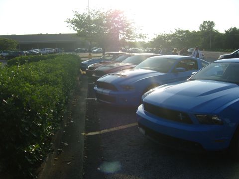 2007 Ford Mustang - A line of blue Ford Mustangs are parked in a lot, with people visible in the background.