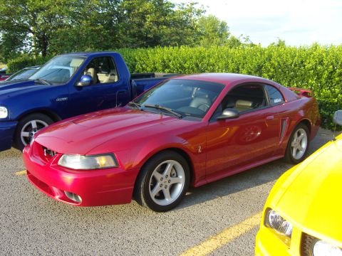 2007 Ford Mustang - A red Ford Mustang coupe is parked in a lot with other vehicles visible.