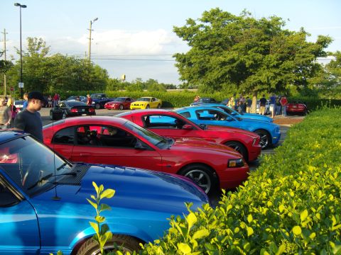 2007 Ford Mustang - Several Ford Mustangs are parked in a lot, with people gathered in the background.