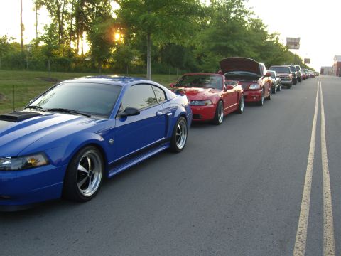 2007 Ford Mustang - A line of Ford Mustangs are parked on the side of the road during a car meet.
