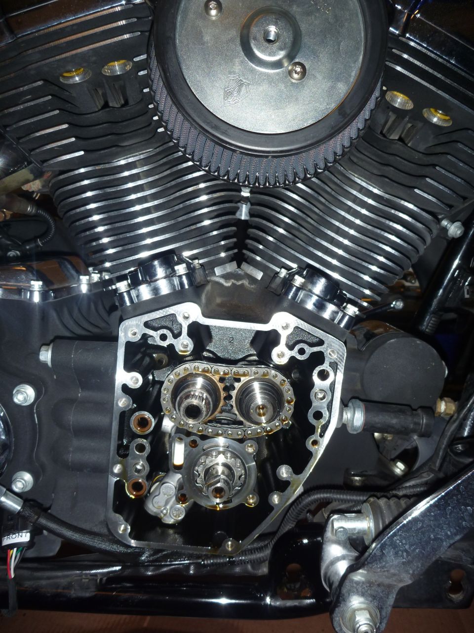 Motorcycle engine with timing chain and gears exposed