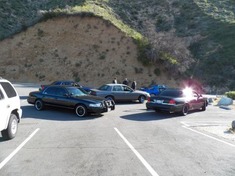 2003 Ford Crown Victoria - Several dark Crown Victoria sedans cluster at a hillside pullout while people stand nearby.