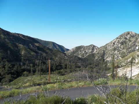 2003 Ford Crown Victoria - View across a forested canyon with utility poles and a road cutting through green hills
