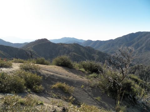 2003 Ford Crown Victoria - Sunlit view over rolling forested ridges from a dirt overlook with low scrub
