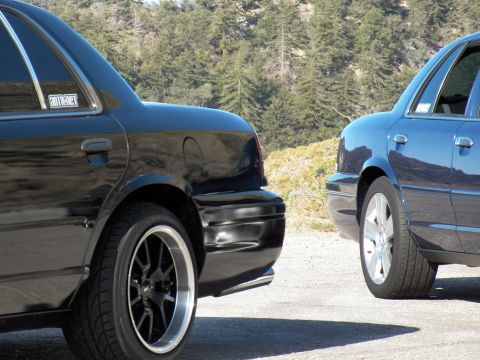 2003 Ford Crown Victoria - Two full-size sedans rear-to-rear; black car wears staggered black-and-polished wheels