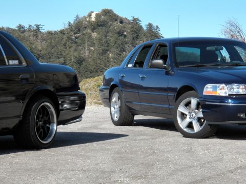 2003 Ford Crown Victoria - Rear of black sedan meets front of blue sedan with chrome grille and amber turn signals