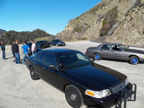 2003 Ford Crown Victoria - Black Ford full-size sedan with grille guard leads a row of sedans at a mountain lot