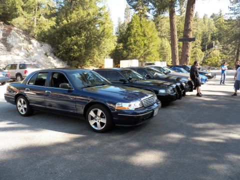 2003 Ford Crown Victoria - Blue Crown Victoria at the head of a parked lineup with pine trees and people behind.