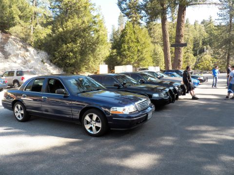 2003 Ford Crown Victoria - Blue full-size Ford sedan fronts a row of cars at a tree-shaded gathering.
