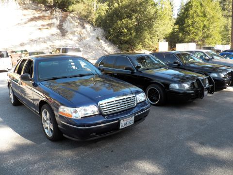 2003 Ford Crown Victoria - Crown Victoria wearing a BLUE VIC plate parked next to blacked-out cruisers.
