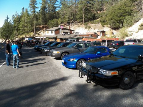 2003 Ford Crown Victoria - Push-bar Ford cruiser parked ahead of a blue Honda S2000 at a forest meet.
