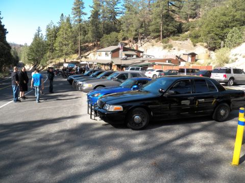 2003 Ford Crown Victoria - Push-bar cruiser and blue S2000 in a parked line at a wooded gathering.