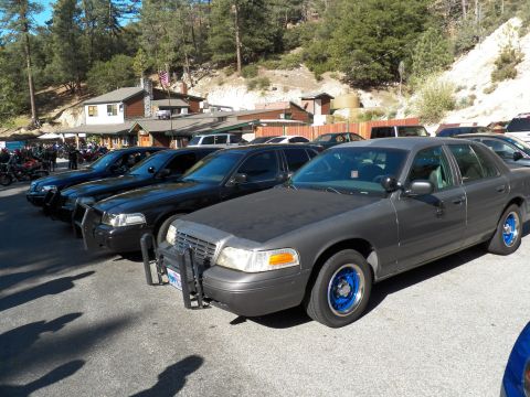 2003 Ford Crown Victoria - Gray push-bar Crown Victoria with blue wheels in a row of dark Fords.