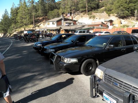 2003 Ford Crown Victoria - Line of blacked-out Crown Victorias with push bars parked near a lodge with flag.