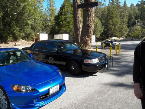 2003 Ford Crown Victoria - Blue Honda S2000 tagged FSTHTOP parked next to a black Ford sedan by a pine.