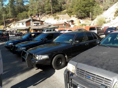 2003 Ford Crown Victoria - Lineup of blacked-out Crown Victorias and a Ford in the foreground near a lodge.