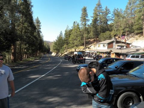 2003 Ford Crown Victoria - Young man bends beside a black sedan while bikers line up outside a pine-shaded mountain roadhouse.