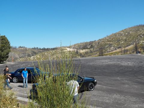 2003 Ford Crown Victoria - Two cars and onlookers on a mountain lot framed by tall reed grass