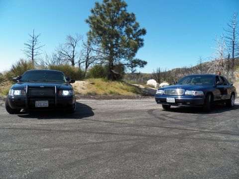2003 Ford Crown Victoria - Two full-size sedans face off across a paved clearing with a pine tree between