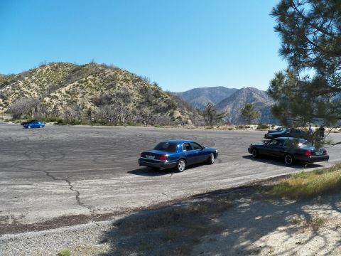 2003 Ford Crown Victoria - Two sedans rest on a mountain clearing with a pine branch overhanging