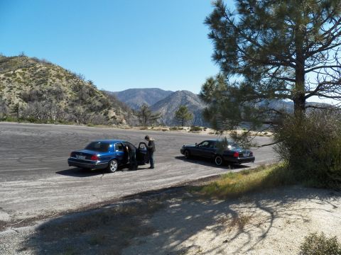 2003 Ford Crown Victoria - person stands by a blue sedan as a second car parks beneath a pine tree