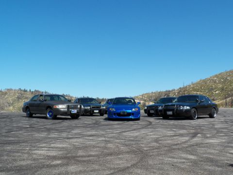 2003 Ford Crown Victoria - Head-on row of dark Crown Victoria-style sedans framing a blue Honda roadster.