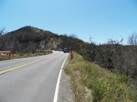 2003 Ford Crown Victoria - Winding rural highway with yellow center line, sparse burnt brush and wildflowers along shoulder