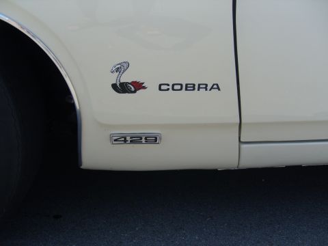 2007 Ford Mustang - Close-up of a car's fender showing a Cobra emblem and a '429' badge.
