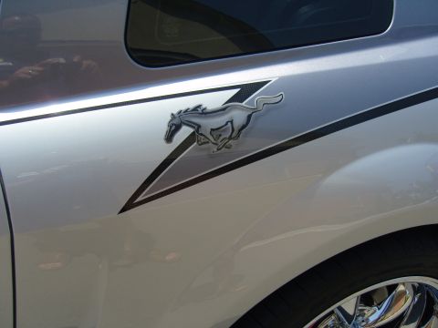 2007 Ford Mustang - Side view of a silver car with a running horse emblem and a black stripe accent.