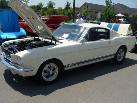 2007 Ford Mustang - A classic white 1965 Ford Mustang GT350 with blue racing stripes is displayed with its hood and trunk open at a car show.