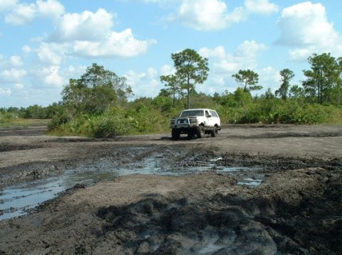 1992 Ford Bronco - A white 1992 Ford Bronco navigates a muddy off-road course with trees and brush in the background.