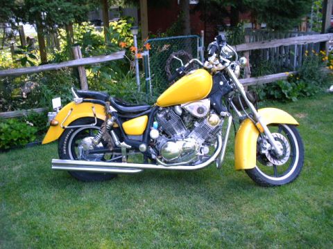 1976 Yamaha Virago - A yellow motorcycle is parked on a grassy lawn with a wooden fence and trees in the background.