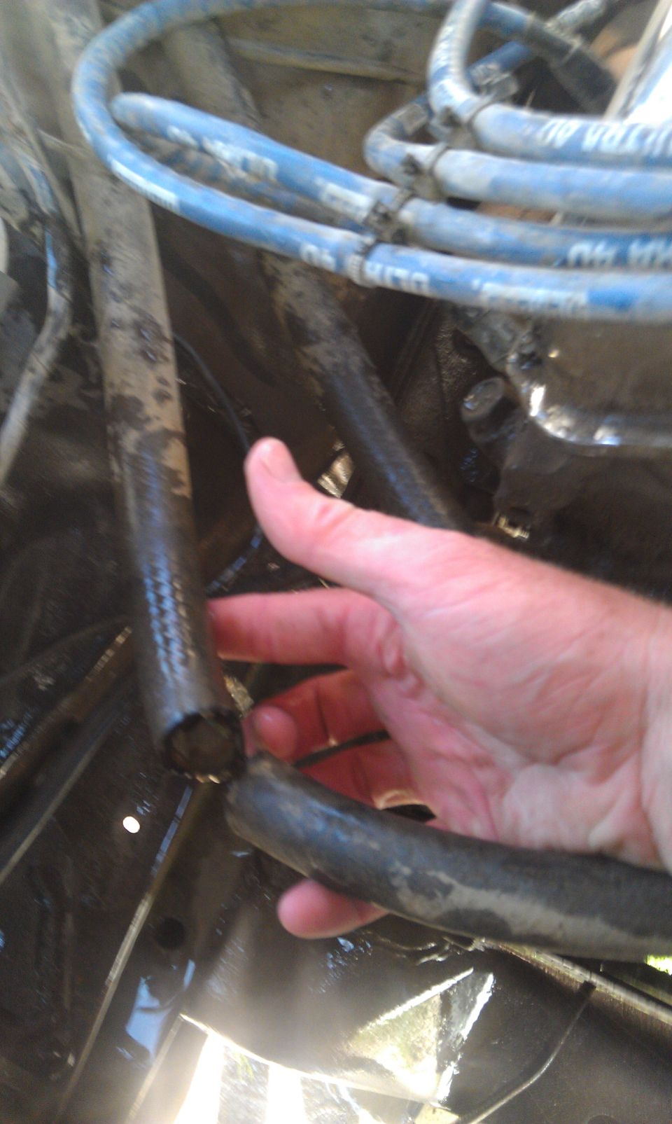 Hand holding damaged hose in engine bay with blue spark plug wires above