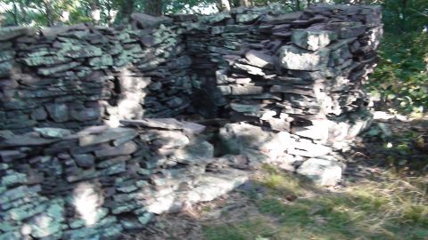 1992 Ford Bronco - A stone structure, possibly a ruin, sits in a wooded area with sunlight filtering through the trees.