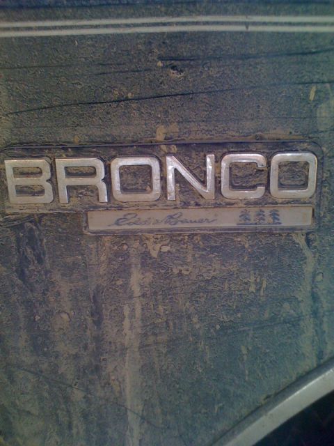 1992 Ford Bronco - The 'Bronco' and 'Eddie Bauer' emblems are visible on the dirty exterior of the vehicle.