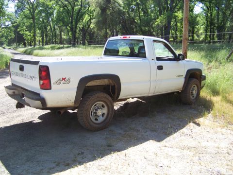 1994 Ford F-150 - This Chevrolet pickup truck is seen from a three-quarter front angle on a dirt road.