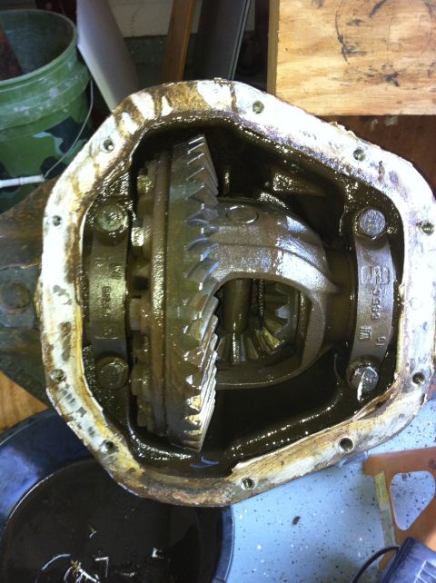 1996 Ford Bronco - An axle housing with the differential cover removed, showing the oil-coated ring gear, carrier with bearing caps and open spider gears, and…