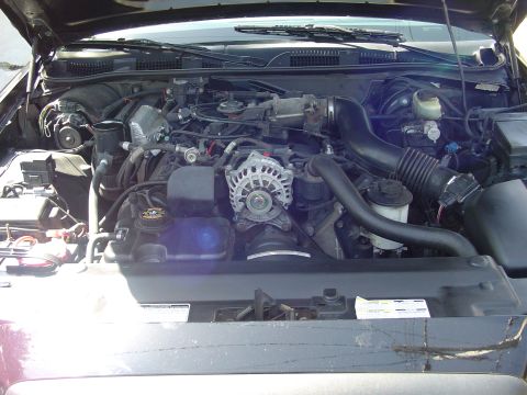 1999 Ford Crown Victoria - The engine bay of a 1999 Ford Crown Victoria is visible with the hood open.