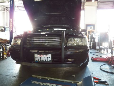 2003 Ford Crown Victoria - Straight-on view of the EVIL VIC Crown Victoria front end, brush bar and grille under the raised hood