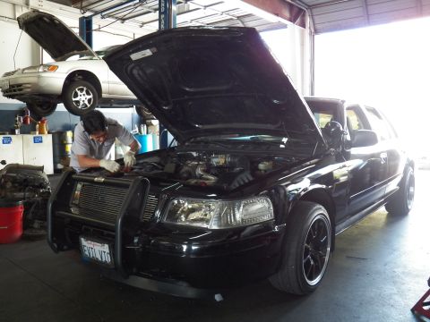 2003 Ford Crown Victoria - Technician leans into the engine bay of a black sedan with brush guard and black wheels in a shop.