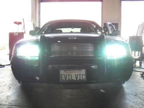 2003 Ford Crown Victoria - Front of a black sedan with HID headlights glowing bright white, brush guard and EVIL VIC plate.