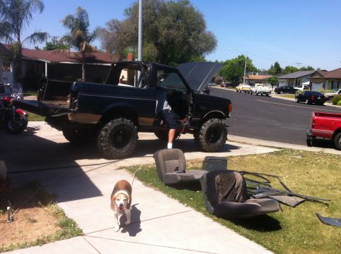 1989 Ford Bronco - A black Ford Bronco is parked in a driveway with its hood up and seats removed, undergoing maintenance.