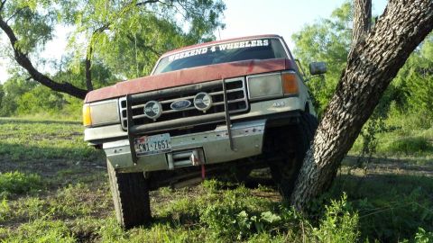 1989 Ford Bronco - This Ford truck, likely from the late 1980s, is shown navigating rough terrain near a tree.