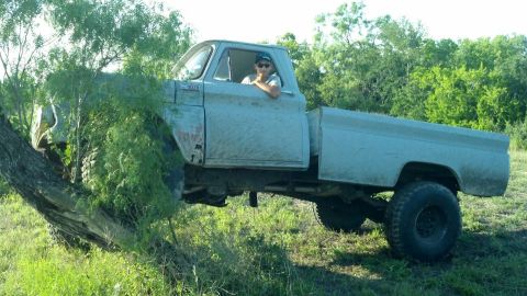 1989 Ford Bronco - This old pickup truck appears to be stuck in a tree, with its front end lodged amongst the branches.
