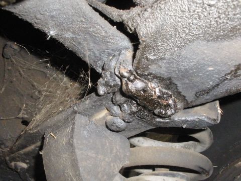 1988 Ford F-250 - Underside view of heavily soiled vehicle frame components and suspension elements.