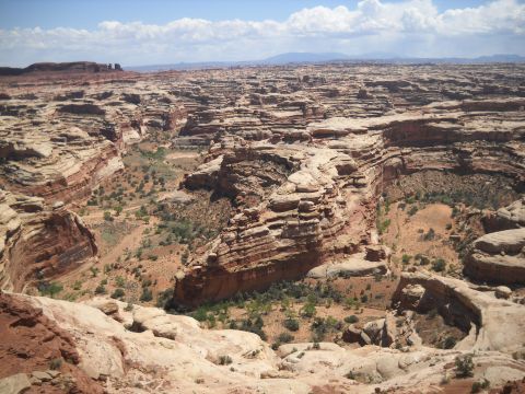 1986 Ford Bronco II - A vast desert canyon landscape with intricate rock layers and a winding dry riverbed below.