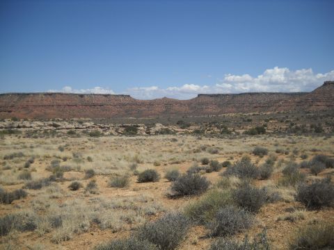 1986 Ford Bronco II - Desert landscape with mesas and sparse vegetation under a clear blue sky.